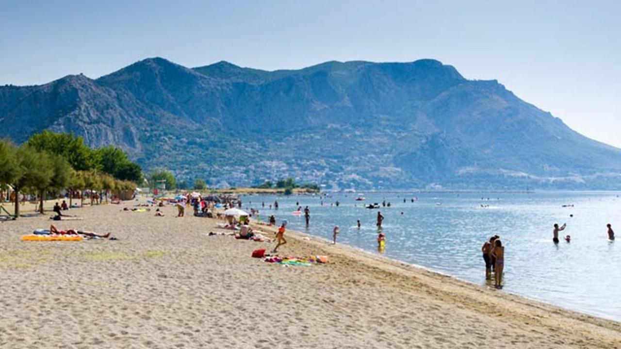 Beach Apartments "Bili Cvitak" Duće Exteriör bild